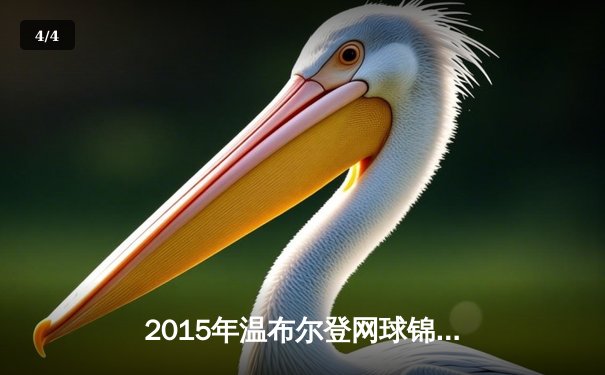 2015年温布尔登网球锦标赛：德约科维奇力克费德勒 第三度加冕男单冠军 - 4